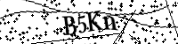 Bitte geben Sie die Buchstaben unten ein.