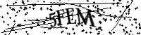 Bitte geben Sie die Buchstaben unten ein.