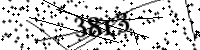 Bitte geben Sie die Buchstaben unten ein.